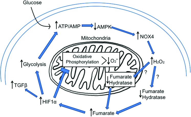 FIG. 6.