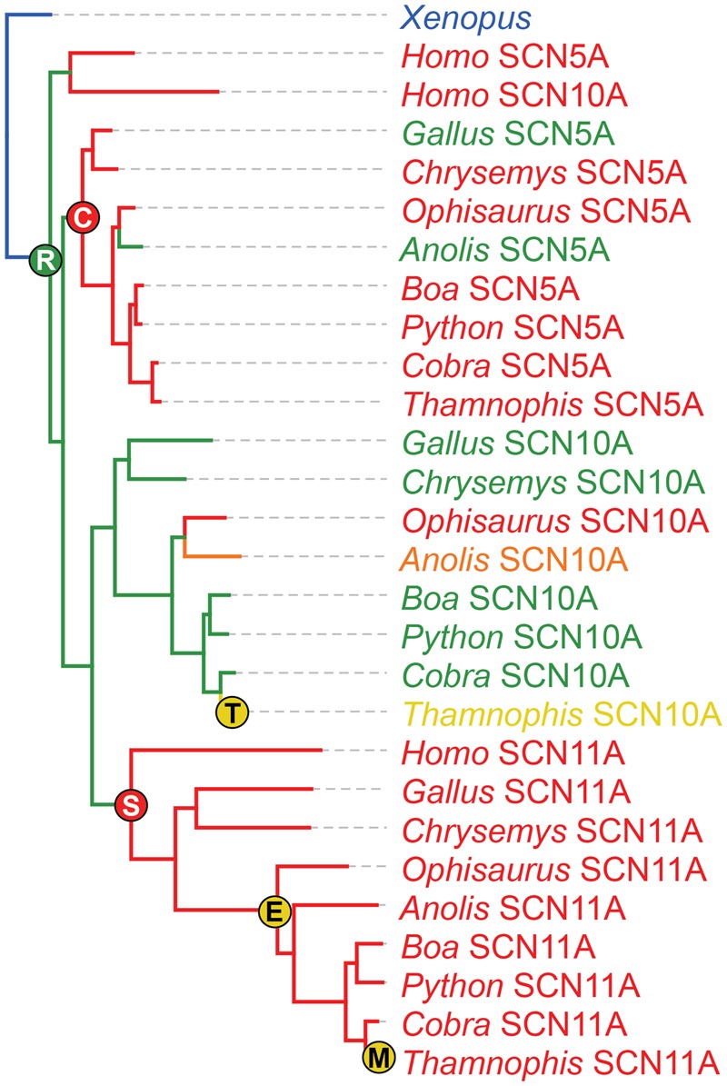 Fig. 7.