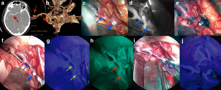 Fig. 8