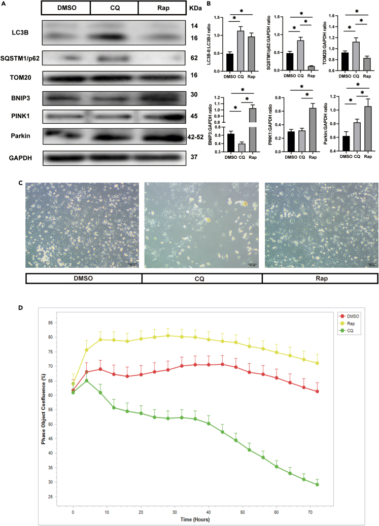 Figure 6