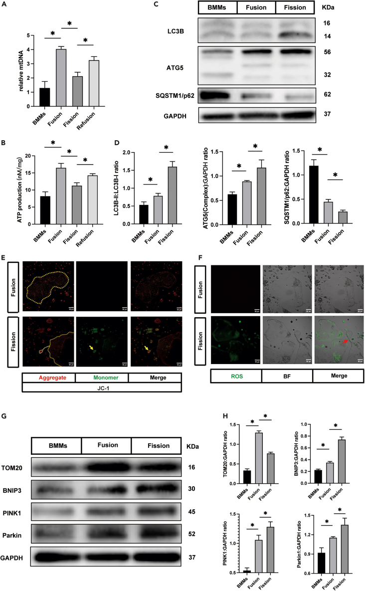 Figure 3