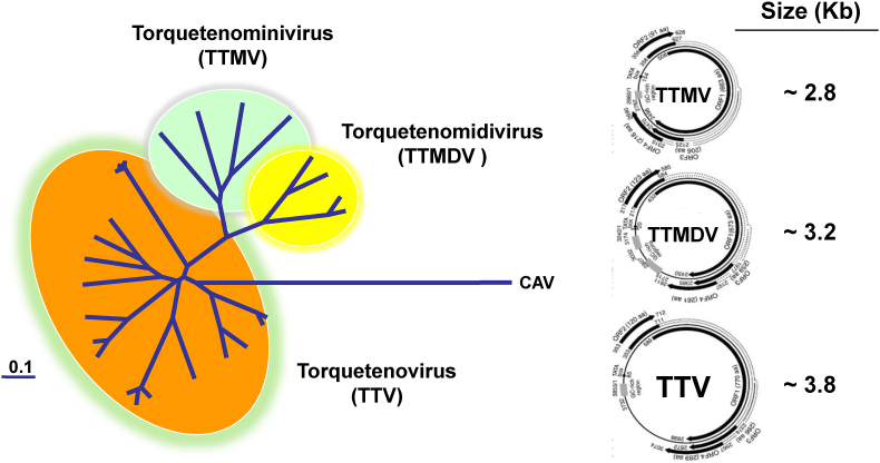 Fig. 1