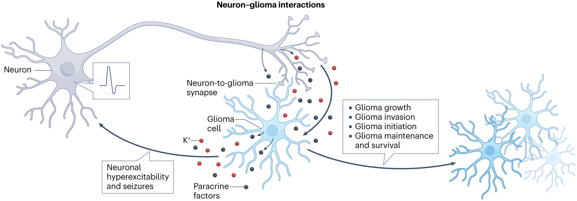 Fig. 4 |