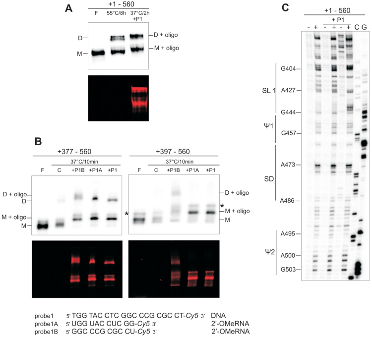 Figure 4.