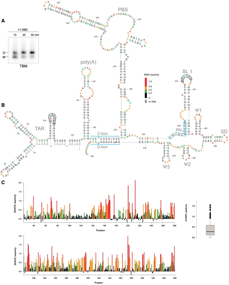 Figure 2.