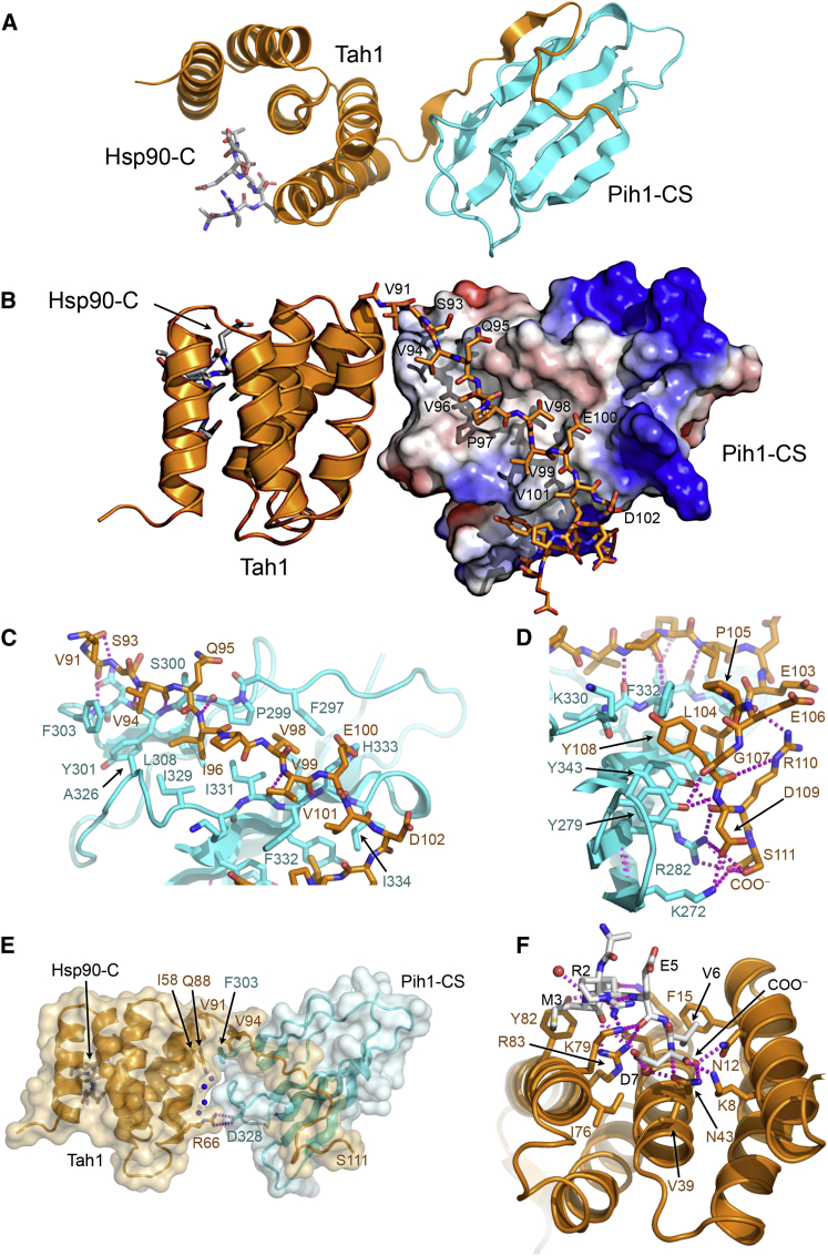 Figure 2