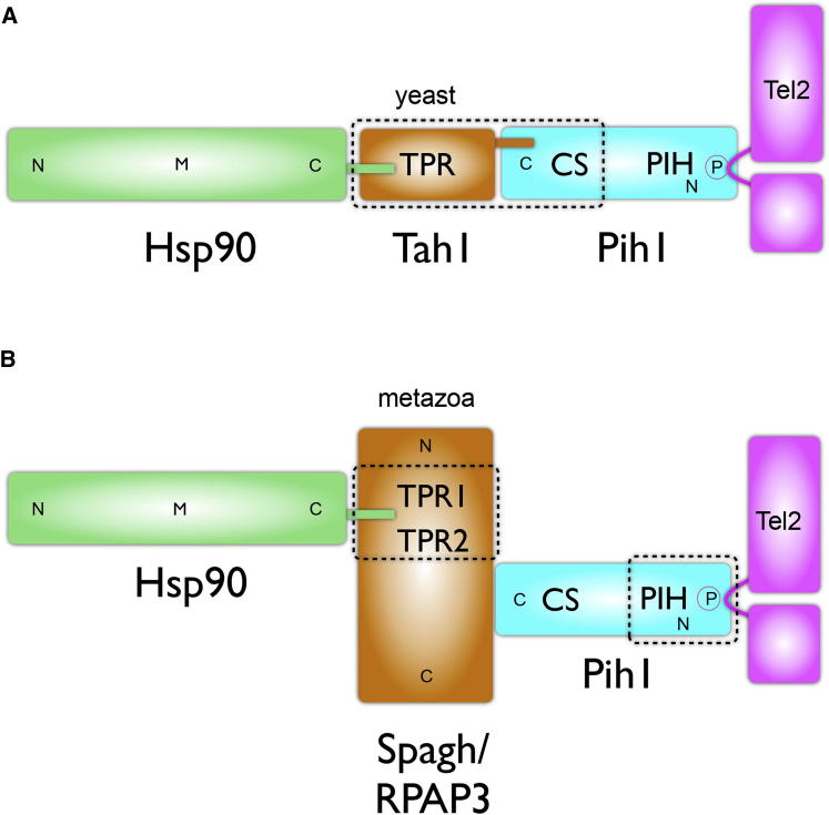 Figure 1