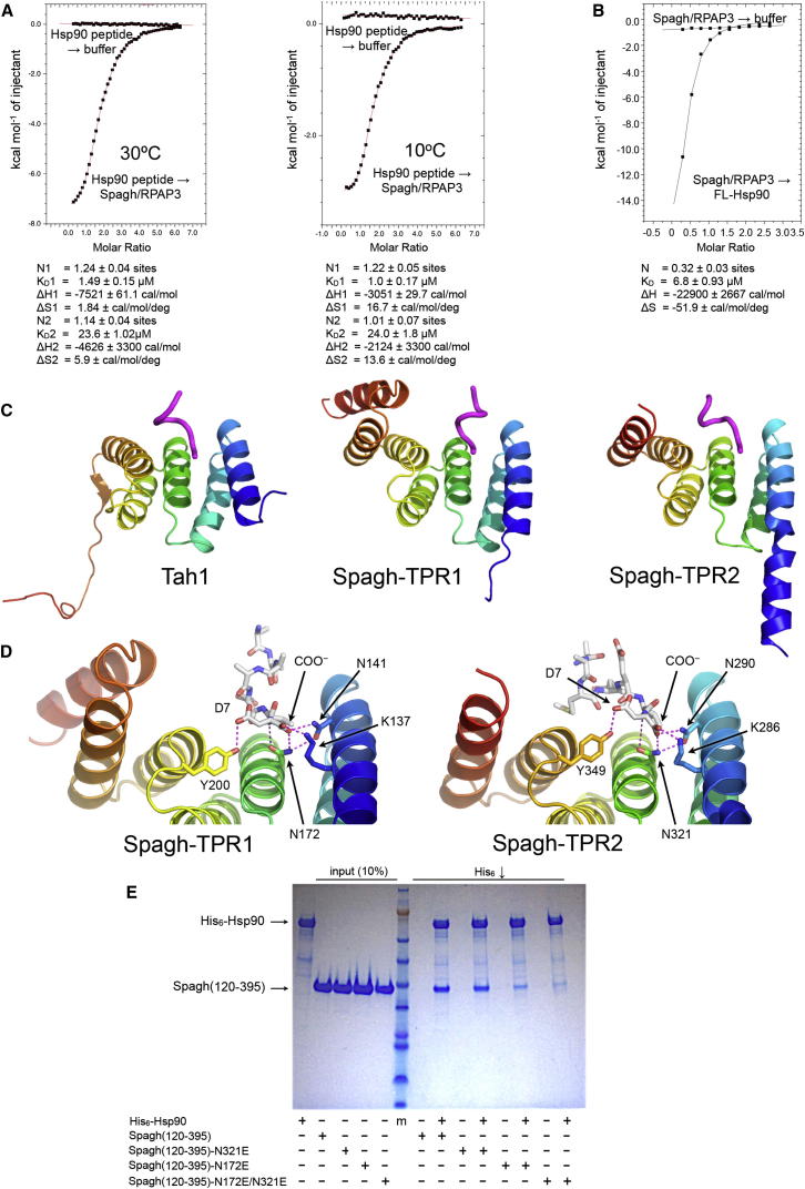 Figure 4