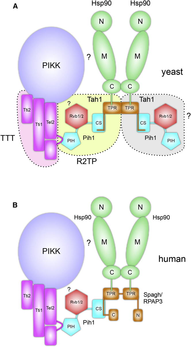 Figure 7