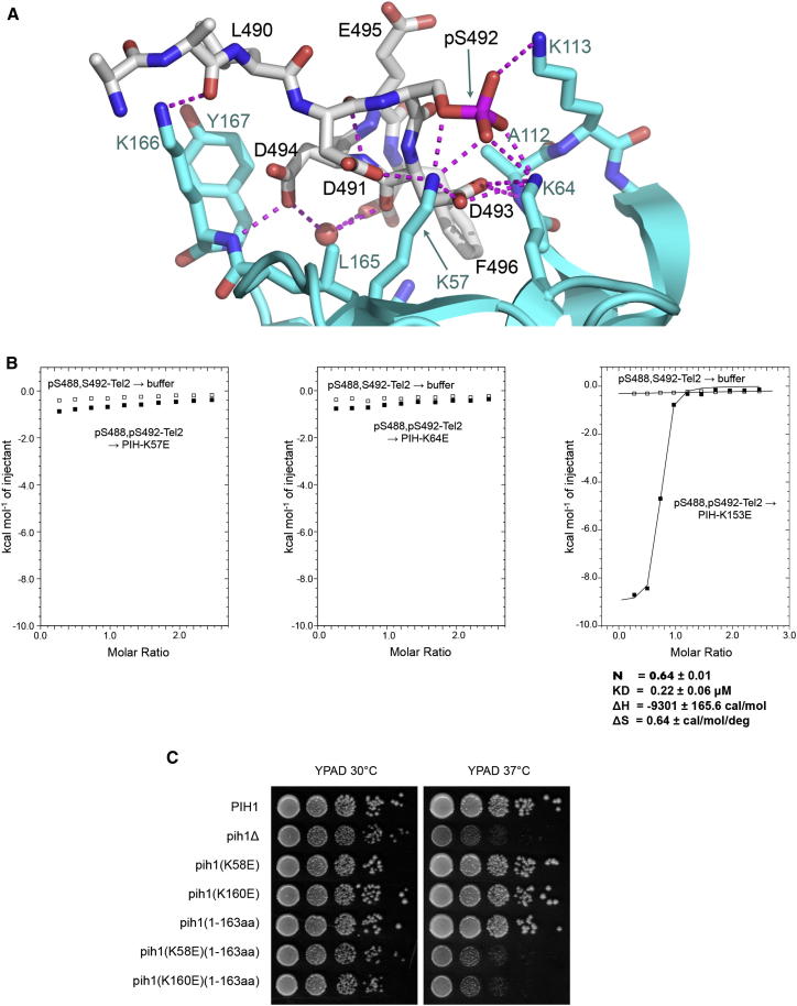 Figure 6