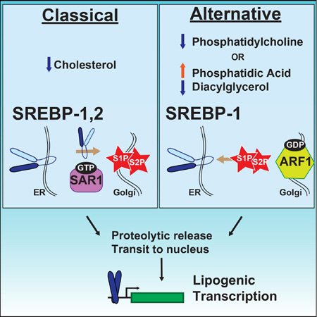 graphic file with name nihms796514f5.jpg