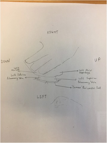 Fig. 5