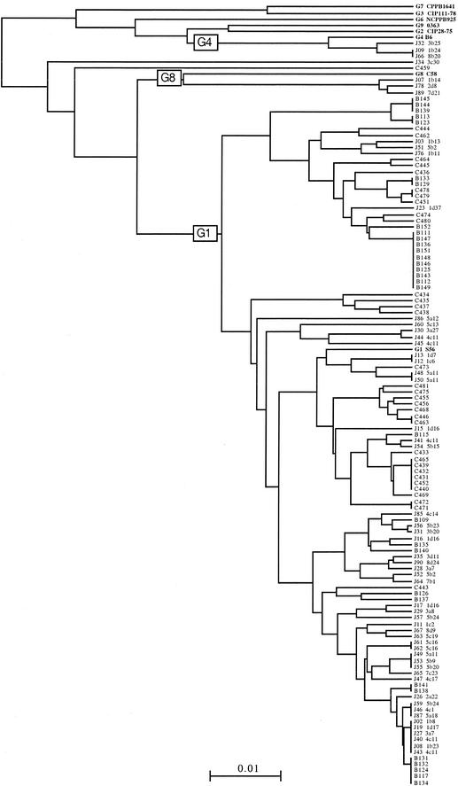 FIG. 2.