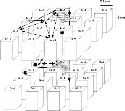 FIG. 1.