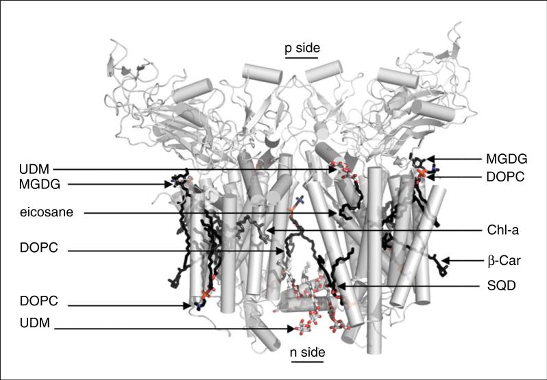 Figure 29.7.1