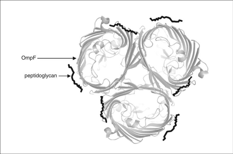 Figure 29.7.3