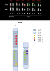 <sc>Fig</sc>. 7.—
