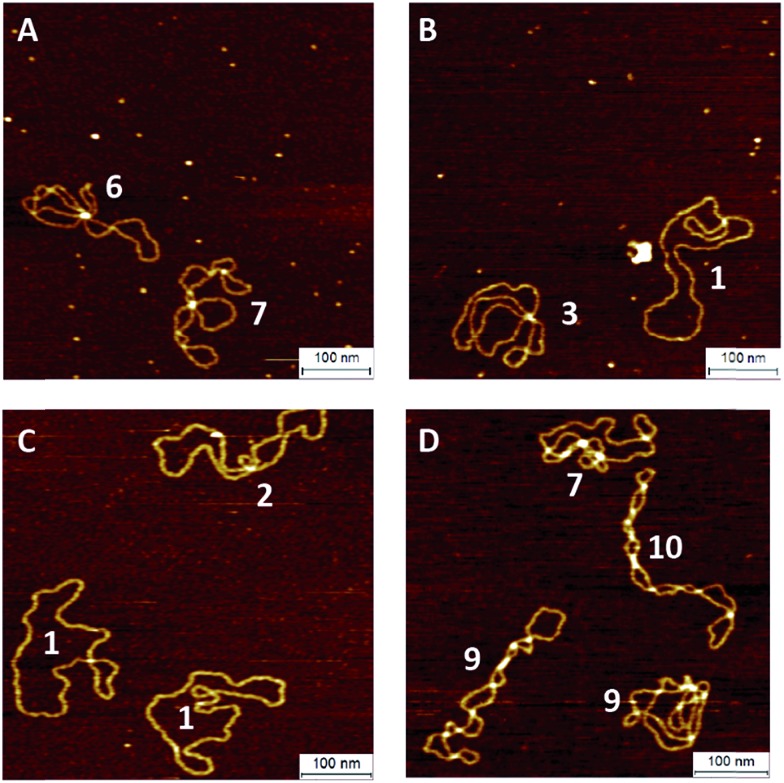 Fig. 4