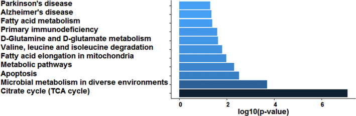 FIGURE 4