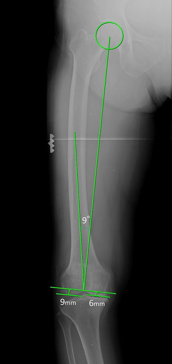 Fig. 7