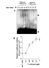 FIG. 7