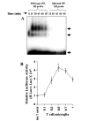 FIG. 6