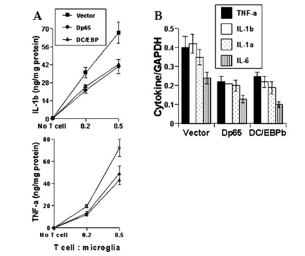 FIG. 8