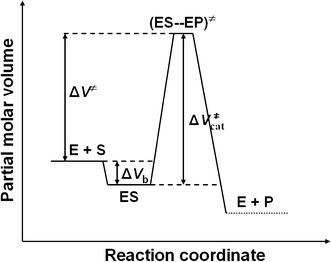 Fig. 7