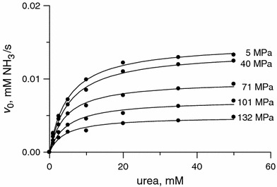 Fig. 5