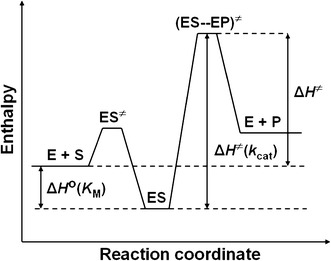 Fig. 4