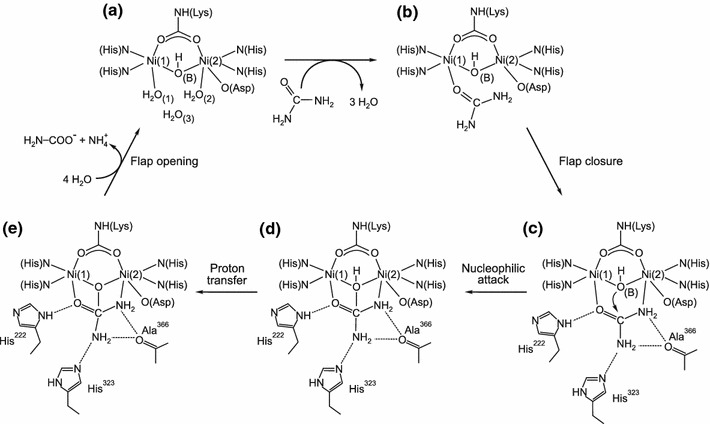 Scheme 3