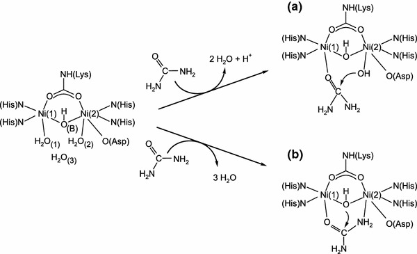 Scheme 2