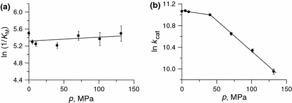 Fig. 6