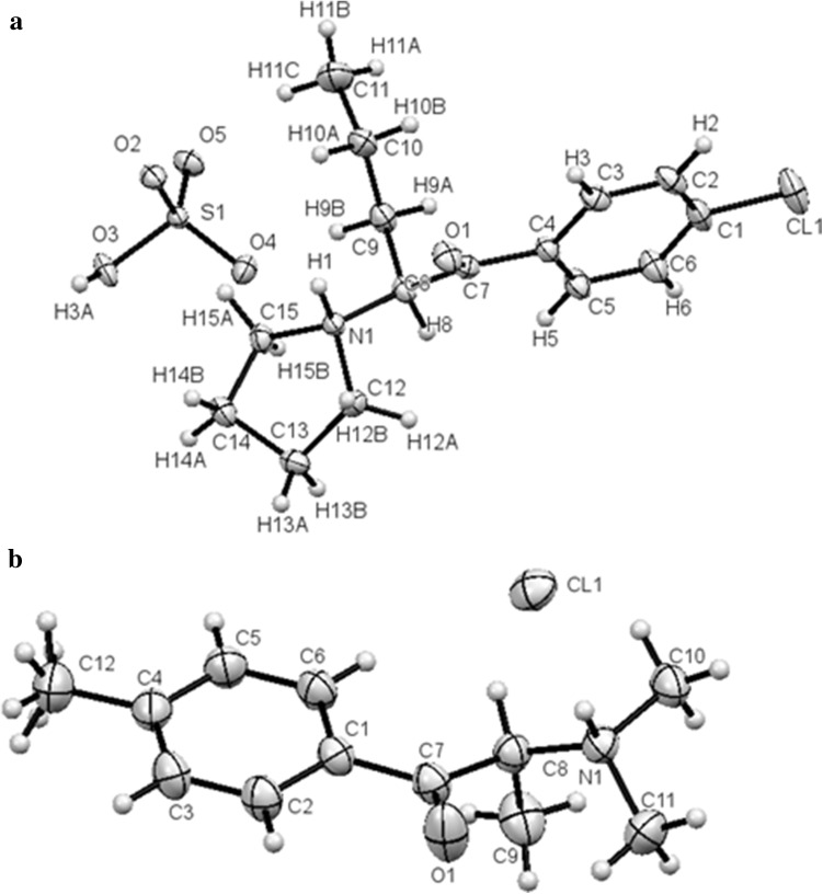 Fig. 2