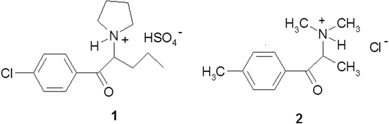 Fig. 1