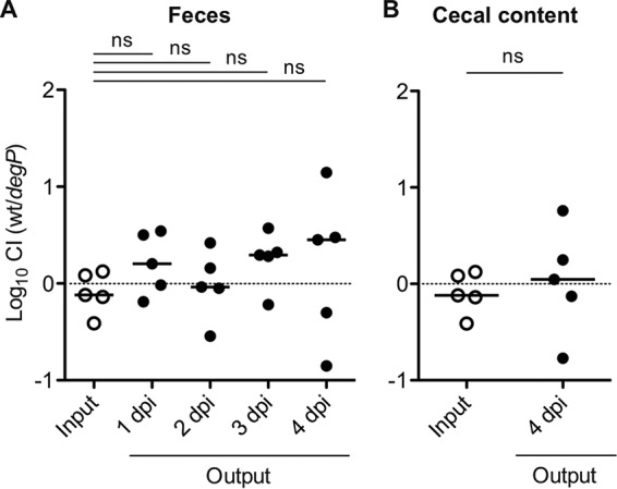 FIG 6