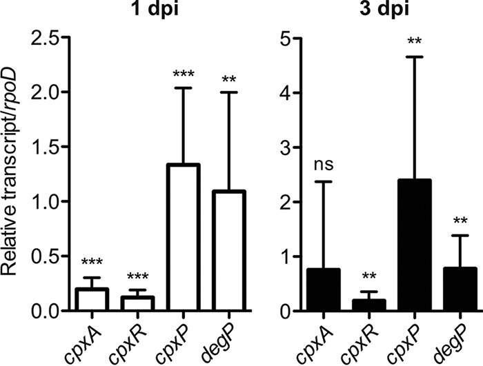 FIG 1