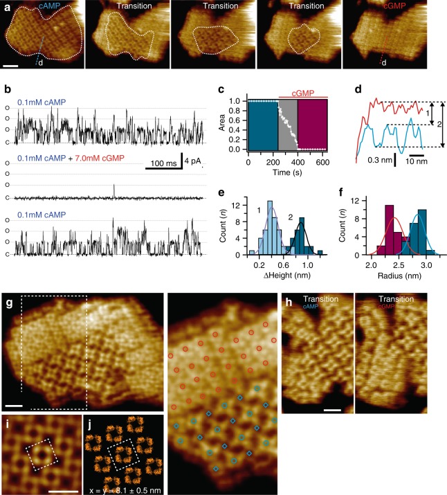 Fig. 3