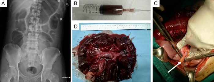 Figure 1: