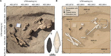 Fig. 3