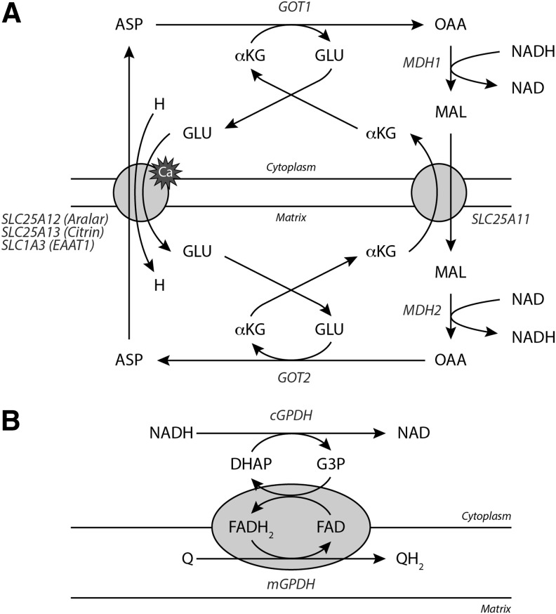 FIG. 7.