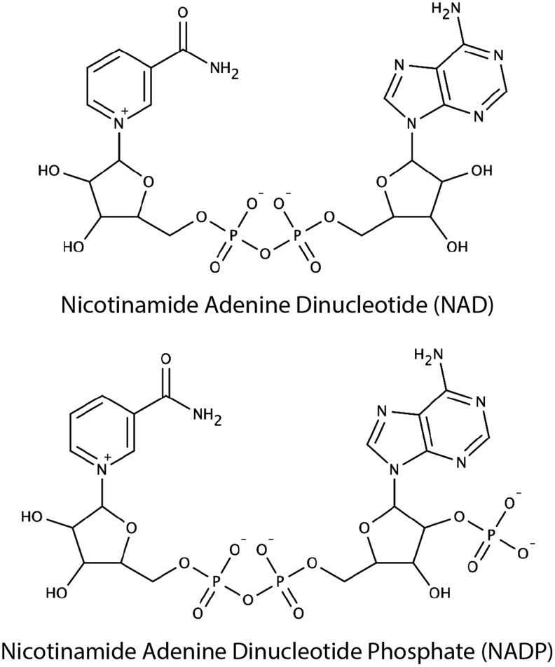 FIG. 1.