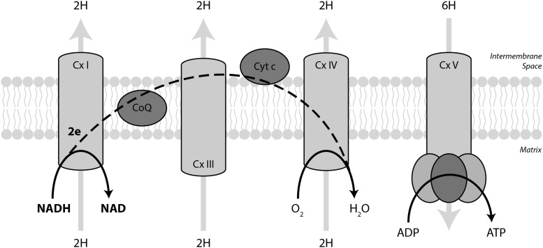 FIG. 8.