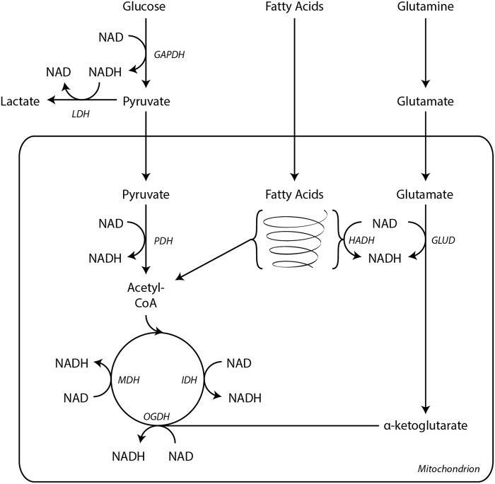 FIG. 6.