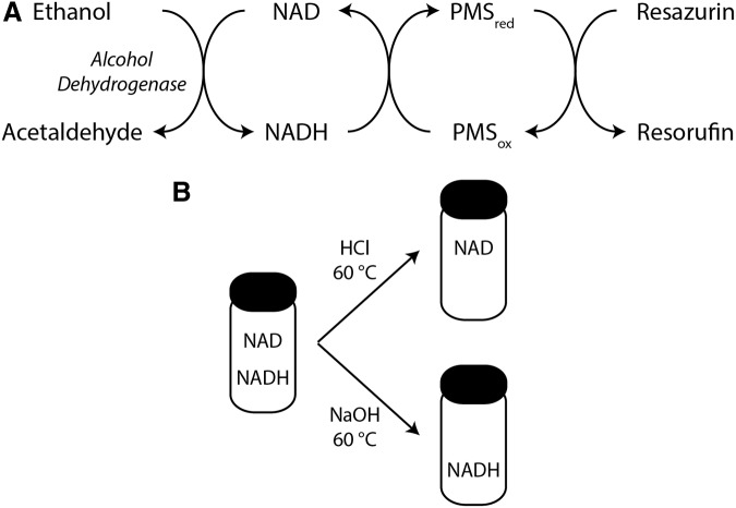 FIG. 5.