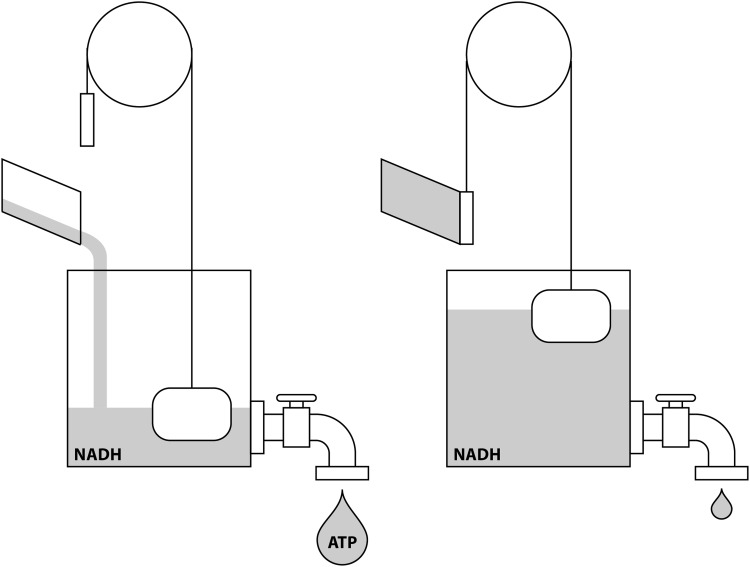 FIG. 9.