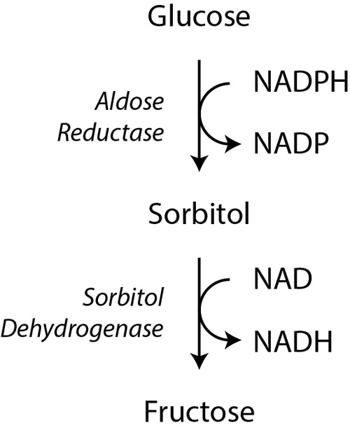 FIG. 14.