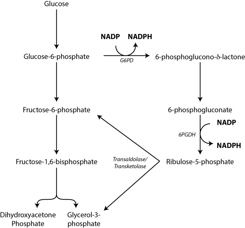 FIG. 11.