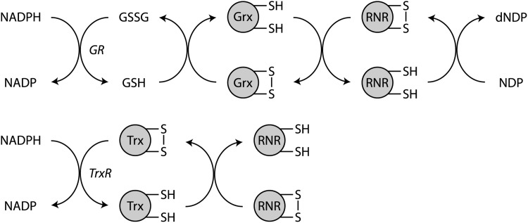 FIG. 12.