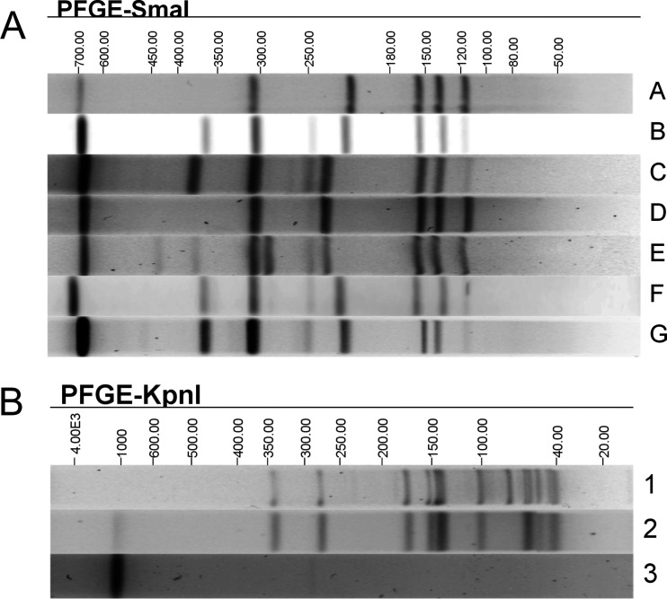 FIG 1